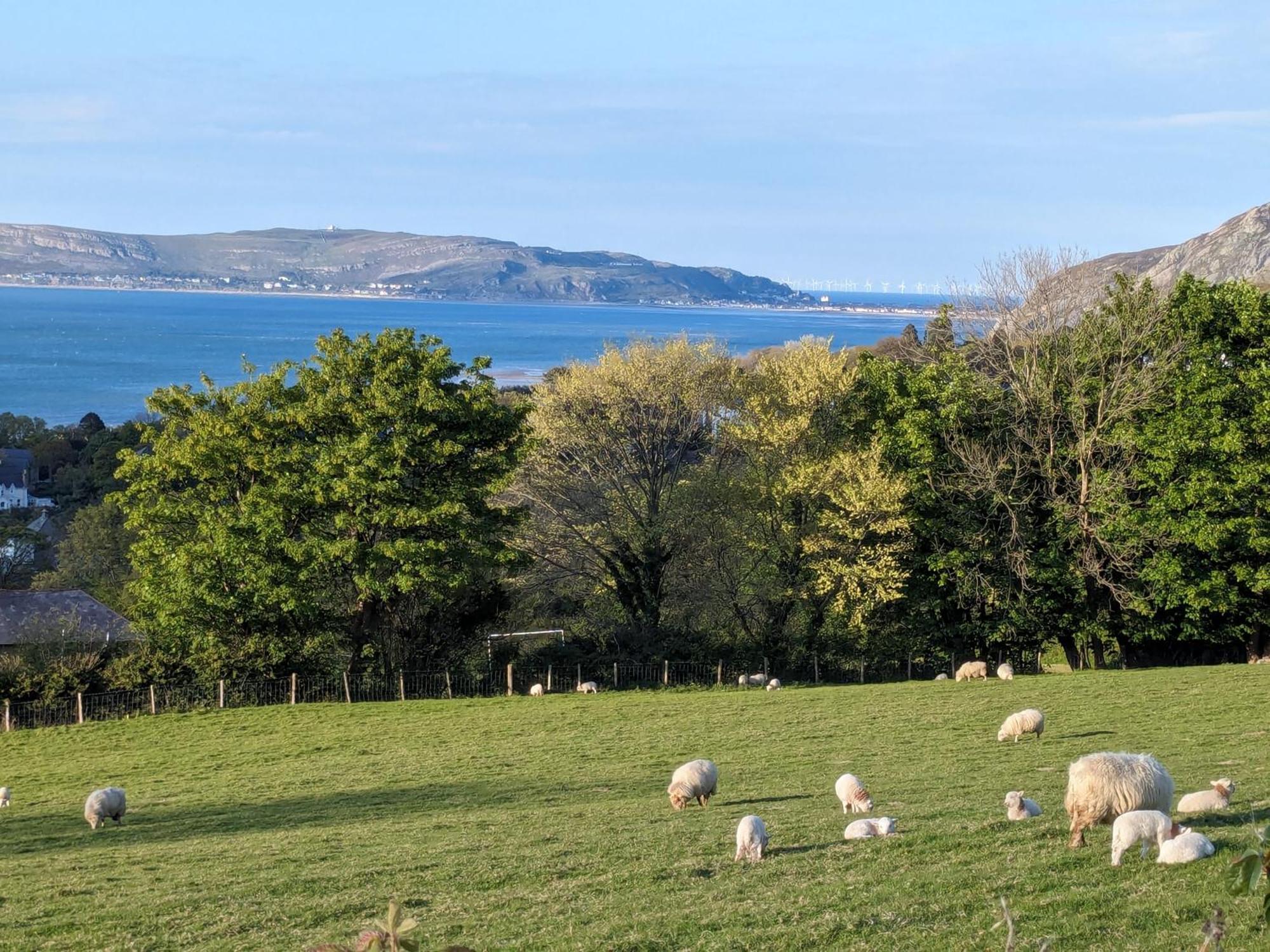 Fantastic Sea Views At Century'S Old Alma'S Cottage - Sleeps Up To 8 Guests Penmaen-mawr Buitenkant foto